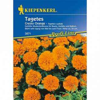 Tagetes Cresto Orange interface.image 2