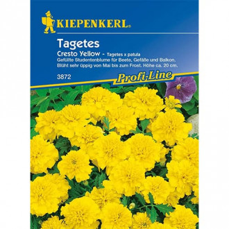 Tagetes Cresto Yellow interface.image 3