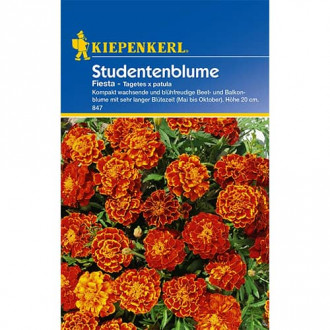 Tagetes Fiesta Bild 16 Tagetes Fiesta interface.image 16