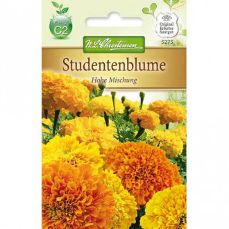 Studentenblume Hohe Mischung interface.image 3