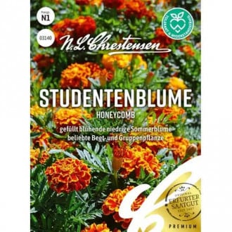 Steudentenblume Honeycomb interface.image 6