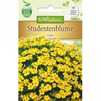 Studentenblume Lulu interface.image 4