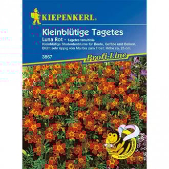 Tagetes Luna Rot interface.image 3
