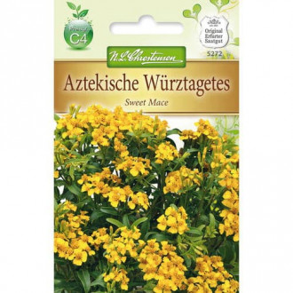 Würz-Tagetes Sweet Mace interface.image 3