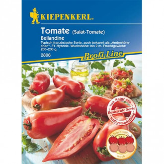 Tomate Bellandine F1 interface.image 4