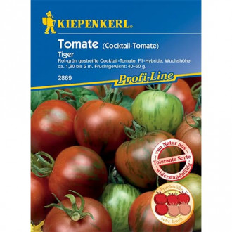 Tomate Tiger F1 interface.image 5