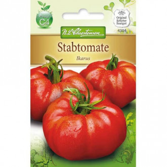 Stabtomate Ikarus interface.image 2