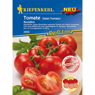 Tomate Rondino F1 Bild 11 Tomate Rondino F1 interface.image 11