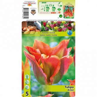 Tulpe Artist interface.image 5