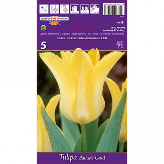 Tulpe Ballade Gold interface.image 1