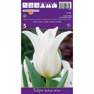 Tulpe Ballade White interface.image 6