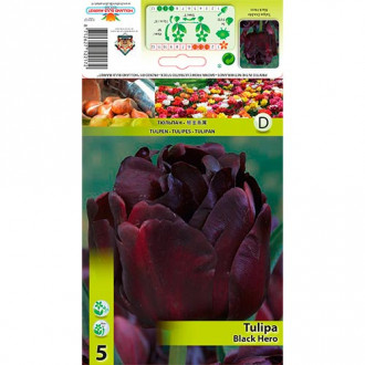 Tulpe Black Hero interface.image 5