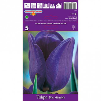 Tulpe Blue Aimable Bild 13 Tulpe Blue Aimable interface.image 13