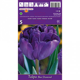 Tulpe Blue Diamond interface.image 3