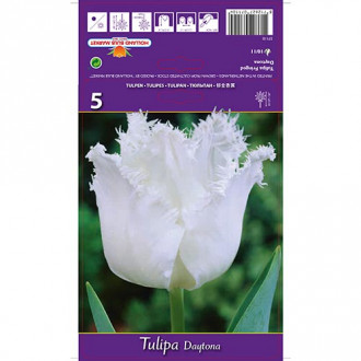 Tulpe Daytona interface.image 3