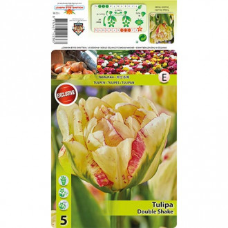 Tulpe Double Shake Bild 8 Tulpe Double Shake interface.image 8