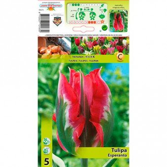 Tulpe Esperanto Bild 10 Tulpe Esperanto interface.image 10