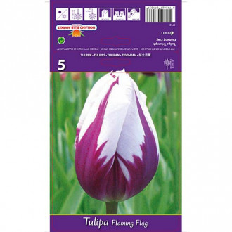 Tulpe Flaming Flag interface.image 4