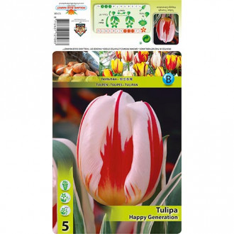 Tulpe Happy Generation interface.image 6