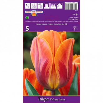 Tulpe Irene interface.image 6