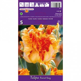 Tulpe Parrot King interface.image 2