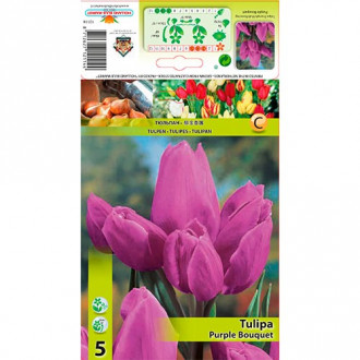 Tulpe Purple Bouquet interface.image 1