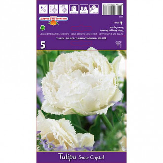 Tulpe Snow Crystal interface.image 2