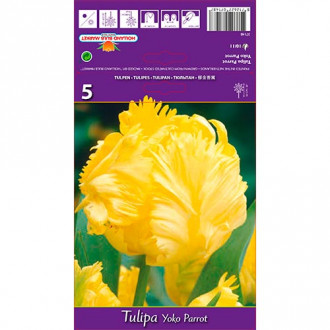 Tulpe Yoko Parrot interface.image 6