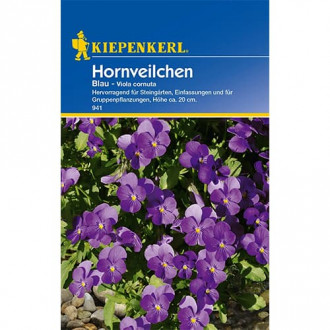 Hornveilchen Blau interface.image 1