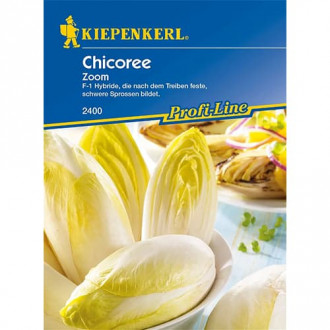 Chicoree Zoom F1 interface.image 1