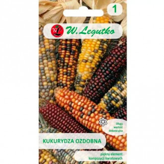 Ziermais, mischung Legutko interface.image 4