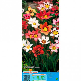 Zigenerblumen, Farbmischung interface.image 3