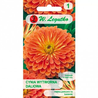 Zinnie Eldorado Legutko interface.image 14