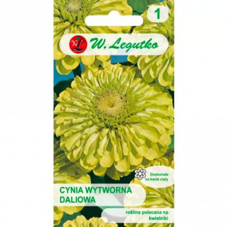 Zinnie Envy Legutko interface.image 18