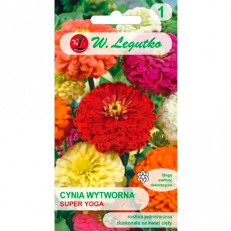 Zinnie Super Yoga mischung Legutko interface.image 3