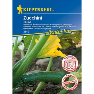 Zucchini Quine F1 interface.image 4