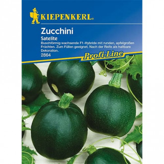 Zucchini Satelite, F1 interface.image 4