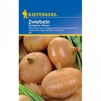 Zwiebel Stuttgarter Riesen Kiepenkerl interface.image 1