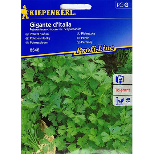 Petersilie Gigante d'Italia interface.image 1 interface.art 86503