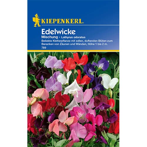 Edelwicke Mischung interface.art Bild 1 Edelwicke Mischung interface.image 1 interface.art 77415