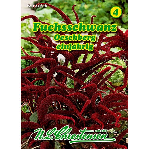 Fuchsschwanz Oeschberg (Amaranthus) interface.image 1 interface.art 86174