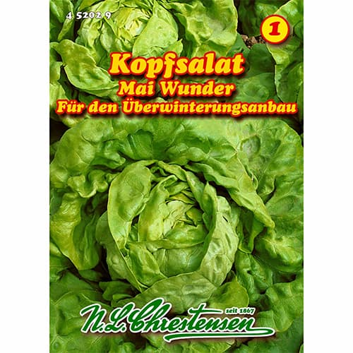 Kopfsalat Mai Wunder interface.image 1 interface.art 96479