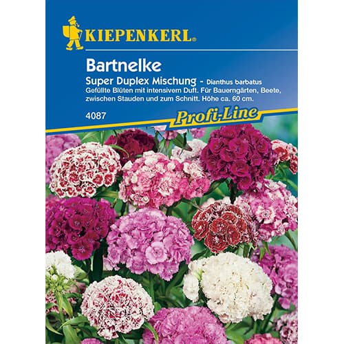 Bartnelke Duplika, Farbmischung interface.art Bild 1 Bartnelke Duplika, Farbmischung interface.image 1 interface.art 86250