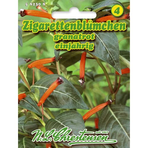 Zigarettenblümchen Chrestensen interface.image 1 interface.art 96412