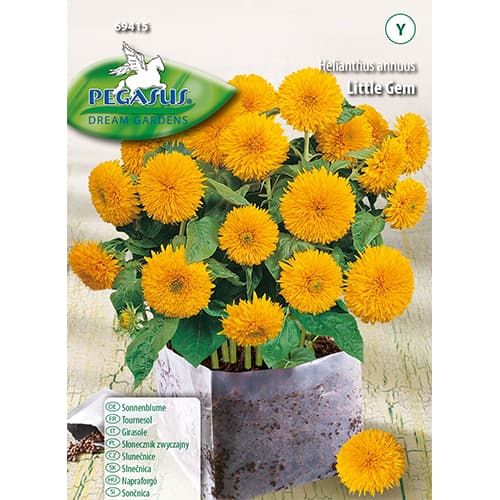 Sonnenblumen Little Gem interface.art Bild 1 Sonnenblumen Little Gem interface.image 1 interface.art 96578