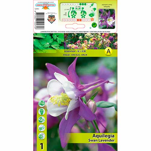 Akelei Swan Lavender interface.art Bild 1 Akelei Swan Lavender interface.image 1 interface.art 70348