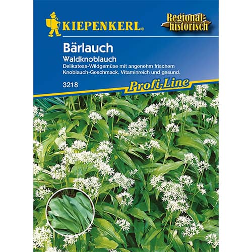 Bärlauch Waldknoblauch interface.art Bild 1 Bärlauch Waldknoblauch interface.image 1 interface.art 86375