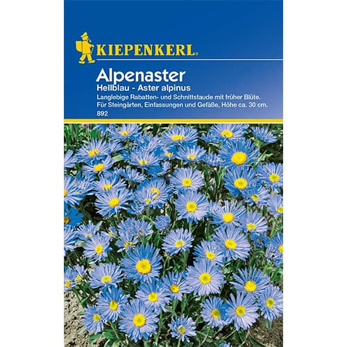 Alpenaster Hellblau interface.art Bild 1 Alpenaster Hellblau interface.image 1 interface.art 77395