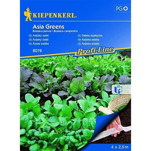 Asia - Salate (Saatband) Kiepenkerl interface.art Bild 1 Asia - Salate (Saatband) Kiepenkerl interface.image 1 interface.art 87765