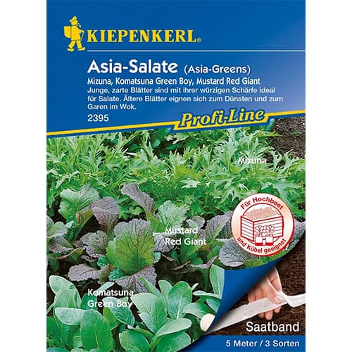 Asia - Salate (Saatband) interface.art Bild 1 Asia - Salate (Saatband) interface.image 1 interface.art 87291